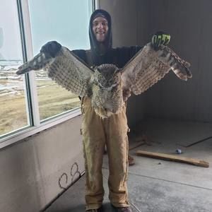 Meet your Posher, Tyler